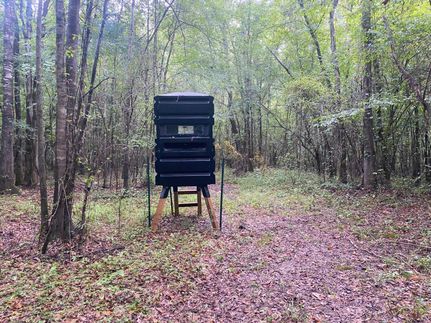 Undeveloped Land in Holmes County, Mississippi