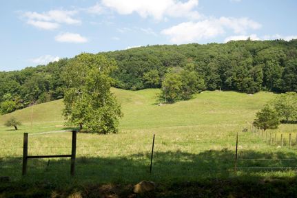 Farm and Ranch in Warren County, Virginia