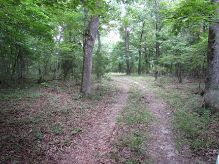 Recreational Property in Miller County, Missouri
