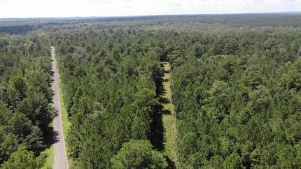 Timberland Property in Jasper County, Mississippi