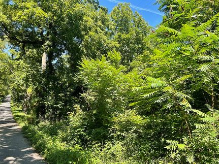 Farm and Ranch in Steuben County, Indiana
