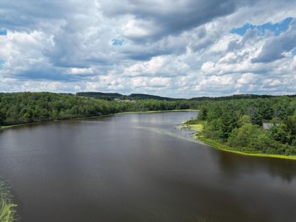 Undeveloped Land in Steuben County, New York