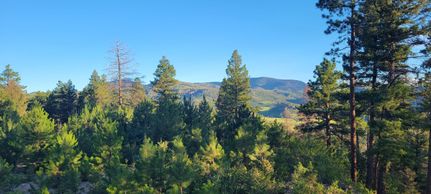 Farm and Ranch in Fremont County, Colorado