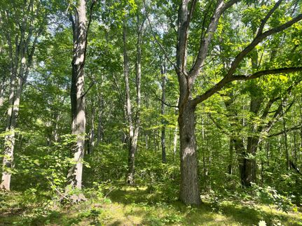 Farm and Ranch in Clare County, Michigan