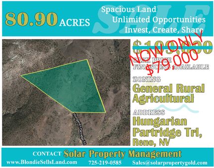 Land in Washoe County, Nevada