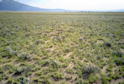 Undeveloped Land in Costilla County, Colorado