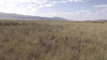 Farm and Ranch in Oneida County, Idaho