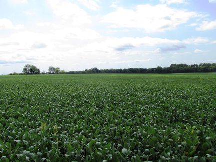 Land in Boone County, Illinois