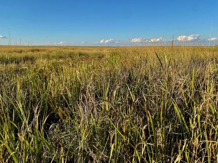 Farm and Ranch in Kiowa County, Colorado