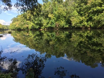 Undeveloped Land in Shelby County, Alabama