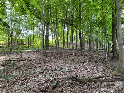 Undeveloped Land in Onondaga County, New York