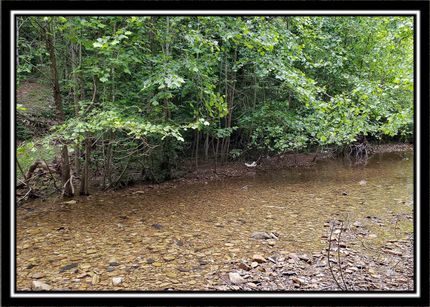 Undeveloped Land in Pike County, Ohio