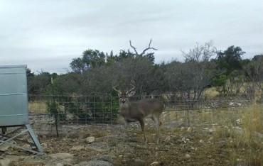 Farm and Ranch in Edwards County, Texas