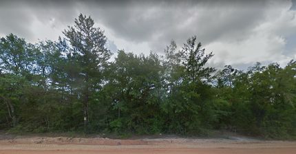 Undeveloped Land in Jackson County, Florida