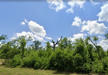 Timberland Property in Jackson County, Florida