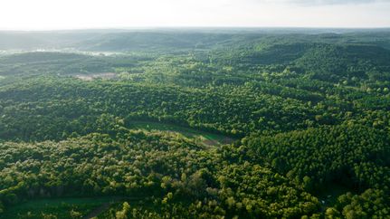 Farm and Ranch in Lawrence County, Alabama
