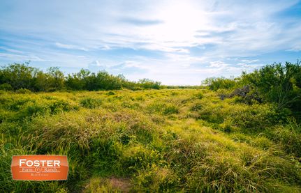 Farm and Ranch in Duval County, Texas