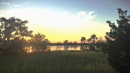 Undeveloped Land in Charleston County, South Carolina