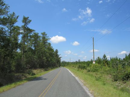 Undeveloped Land in Aiken County, South Carolina