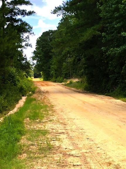Timberland Property in Laurens County, Georgia