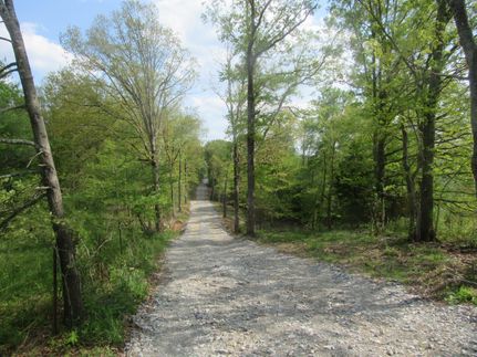 Timberland Property in Humphreys County, Tennessee