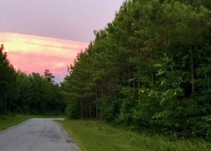 Timberland Property in Perry County, Tennessee