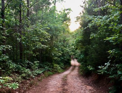 Recreational Property in Perry County, Tennessee