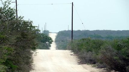 Hunting Property in Live Oak County, Texas