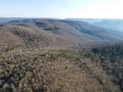 Undeveloped Land in Searcy County, Arkansas