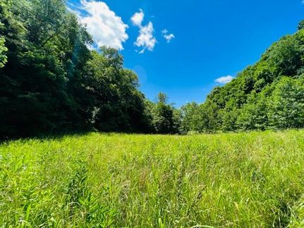 Undeveloped Land in Russell County, Kentucky