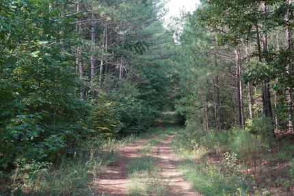 Farm and Ranch in Benton County, Tennessee