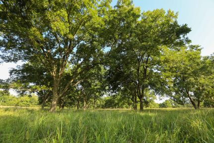 Undeveloped Land in Washington County, Oklahoma
