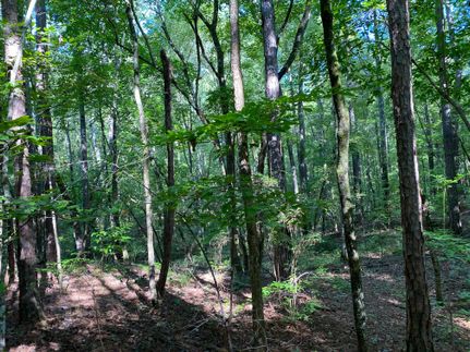 Hunting Property in Autauga County, Alabama