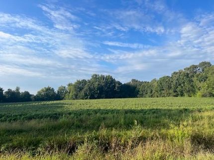 Undeveloped Land in Lawrence County, Alabama