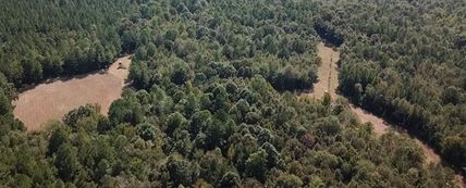 Hunting Property in Marengo County, Alabama