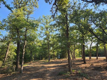Recreational Property in Burleson County, Texas
