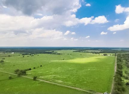 Timberland Property in Freestone County, Texas