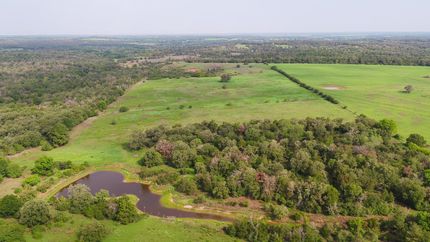 Undeveloped Land in Milam County, Texas