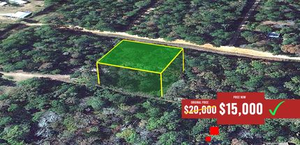 Recreational Property in Polk County, Texas