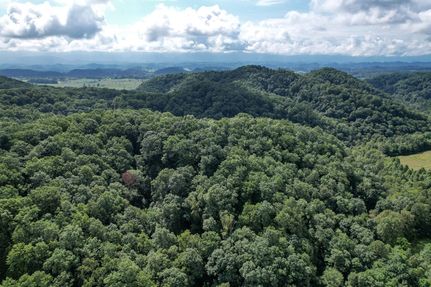 Undeveloped Land in Washington County, Virginia