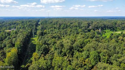 Timberland Property in Yazoo County, Mississippi
