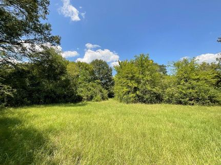 Undeveloped Land in Nacogdoches County, Texas
