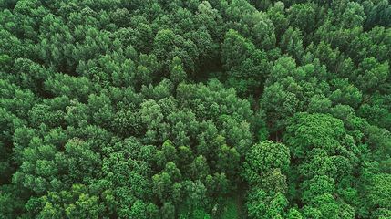 Undeveloped Land in Wayne County, Pennsylvania