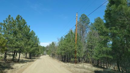 Hunting Property in Torrance County, New Mexico