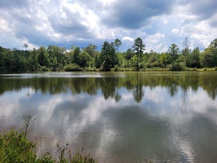 Recreational Property in Coffee County, Alabama