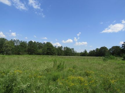 Land in Trinity County, Texas