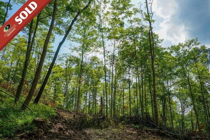 Undeveloped Land in Athens County, Ohio
