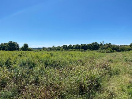Land in Tensas Parish, Louisiana