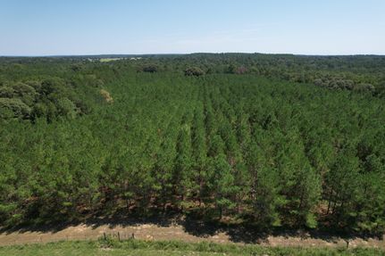 Farm and Ranch in Houston County, Texas