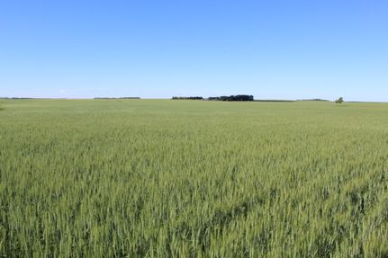 Land in McLean County, North Dakota